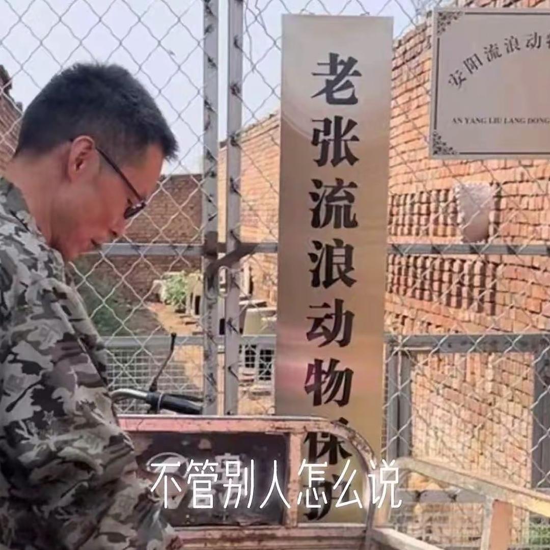 老张流浪狗救助