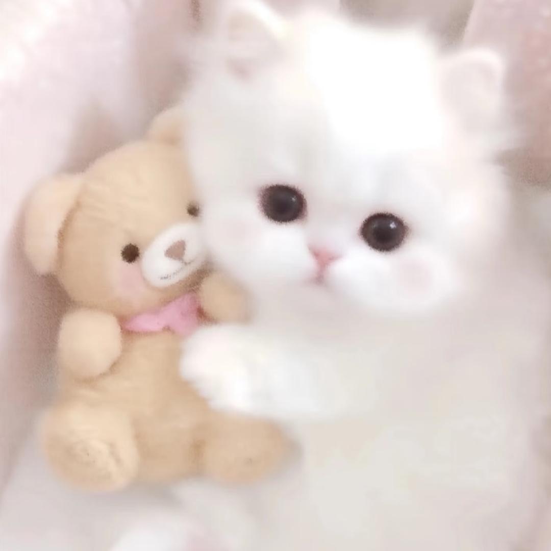冷冷