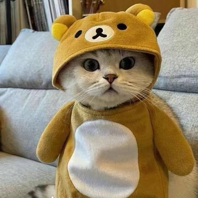 轩