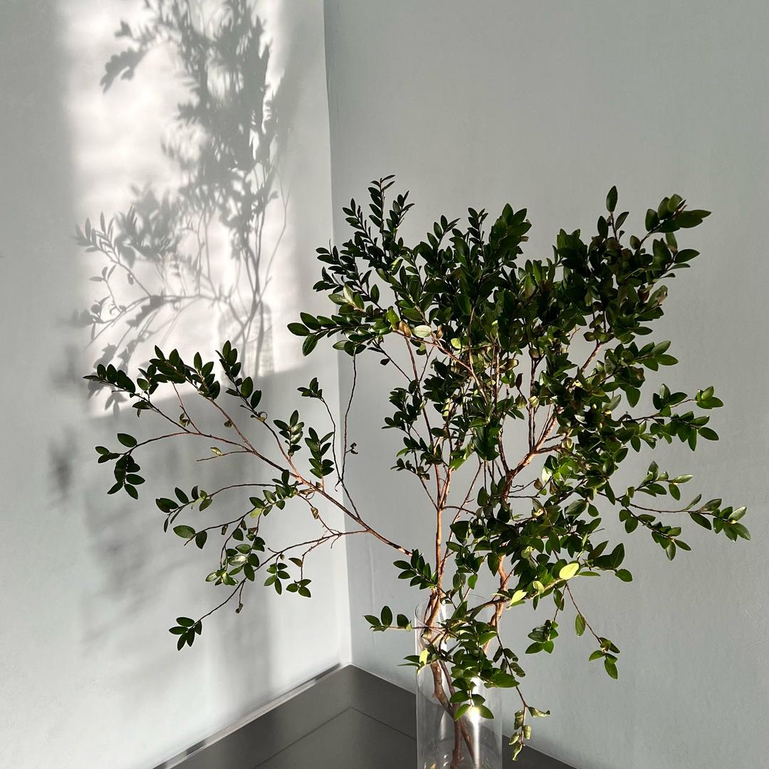 手 法（德州一哥）