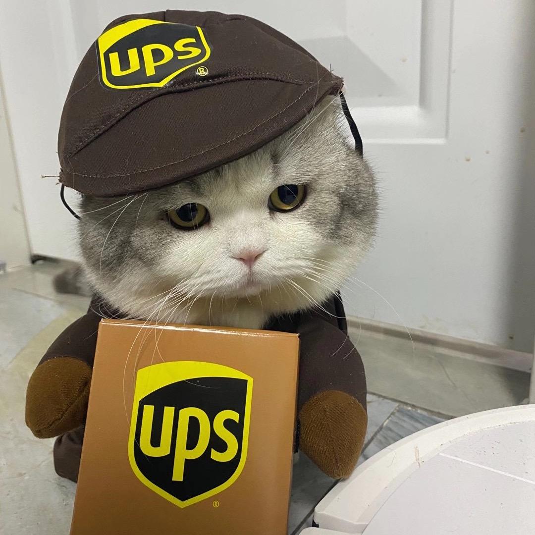 陈秃秃的一家@抖音