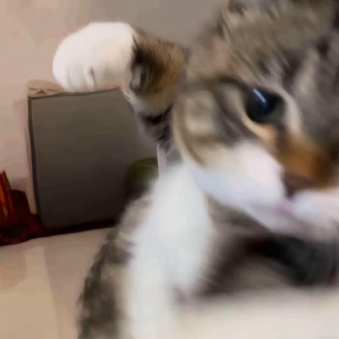 瓦香鸡大王