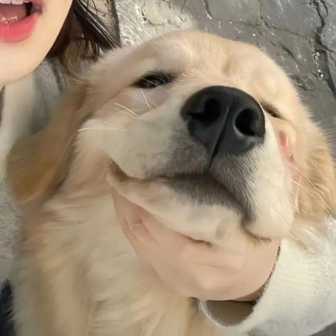 順水周