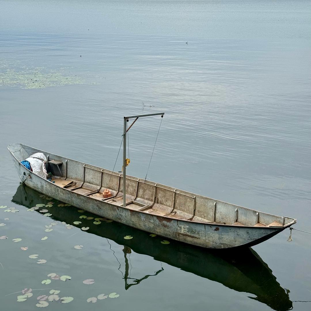 花生米配苏打绿