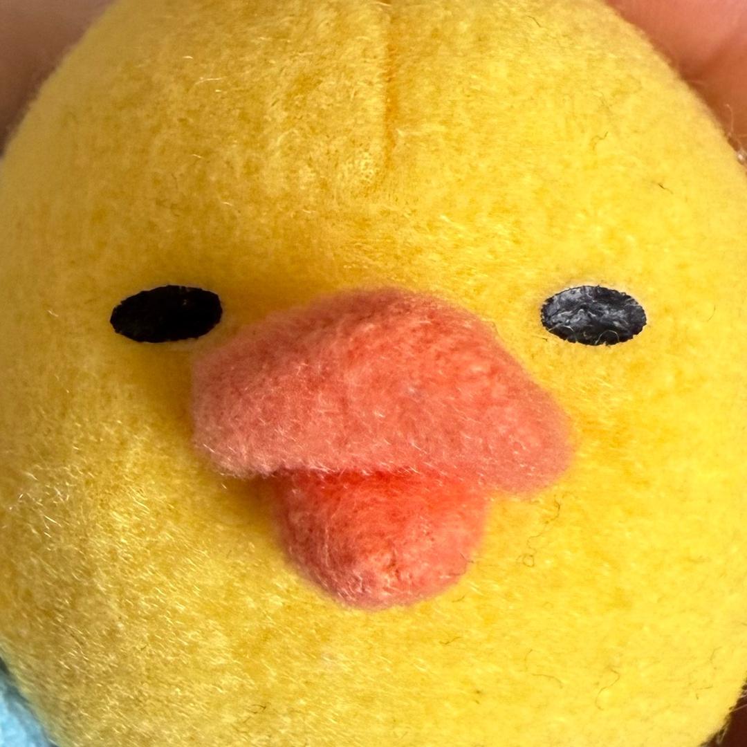 小喵流口水导致局部暴雨