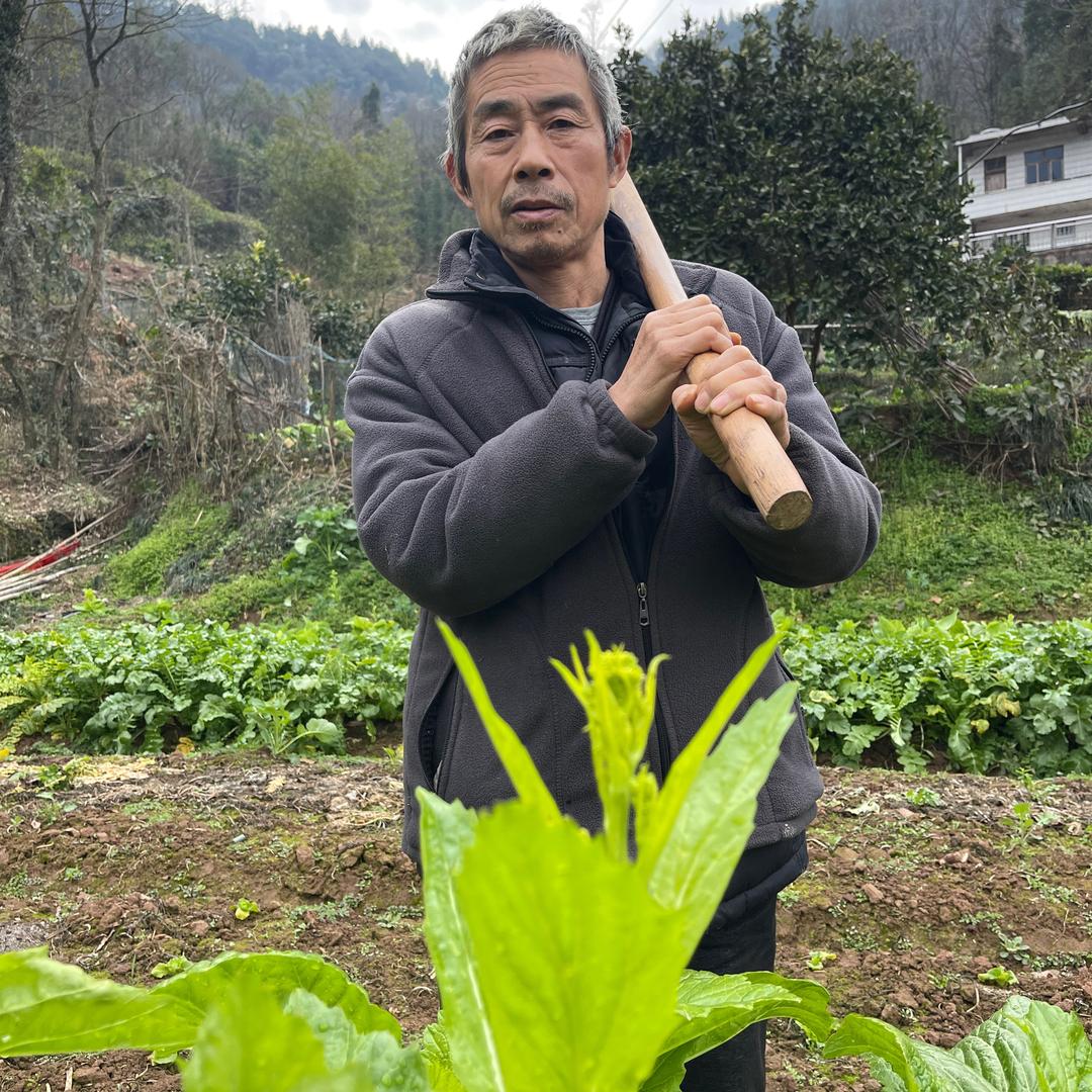 啊杜和爸爸的乡居日常