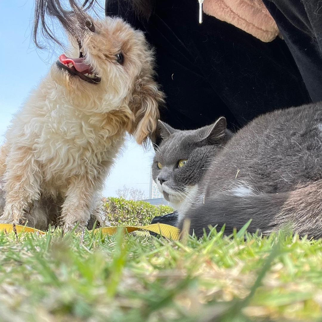 嘟嘟🦮与安安👶