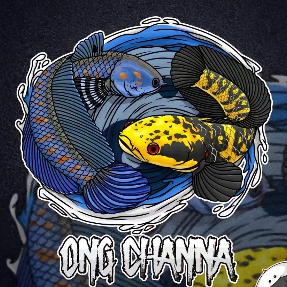 寻鳞水族观赏鱼