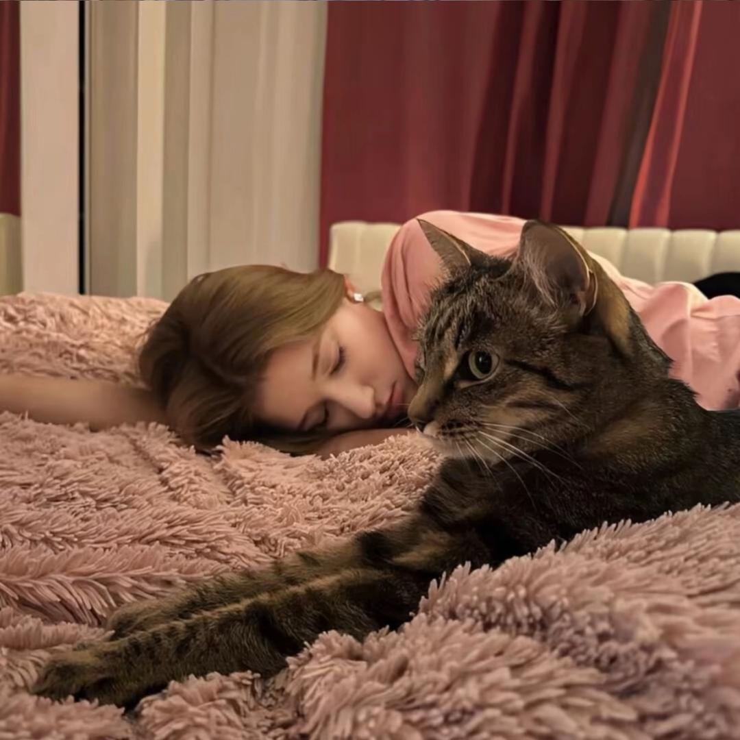 ㅤ ￴ ￴ ￴￴ ￴ ￴