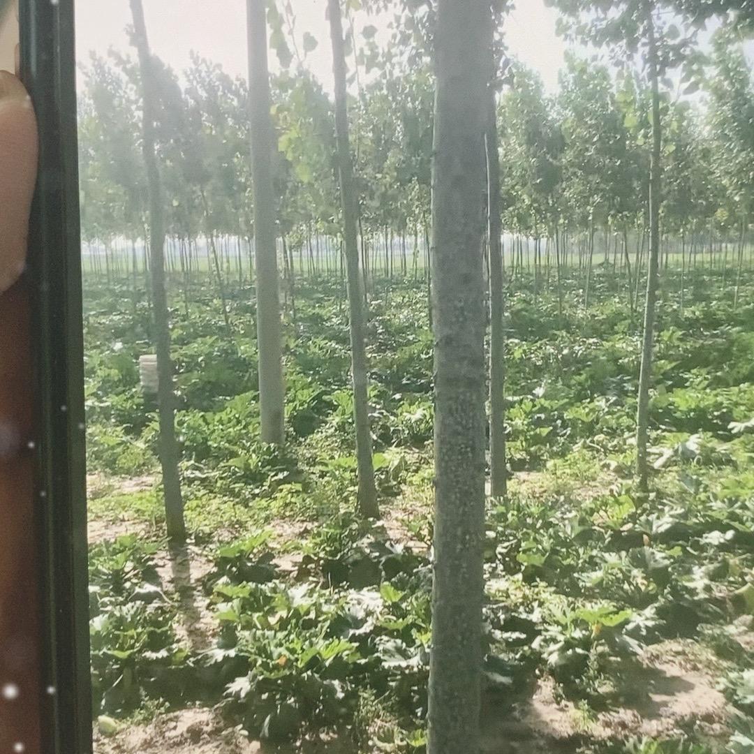 小李农家菜园