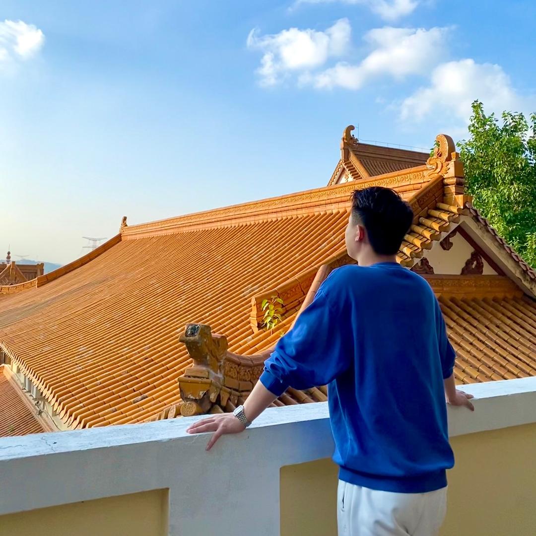 不摇碧莲