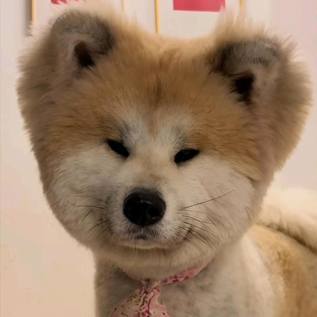 ❤