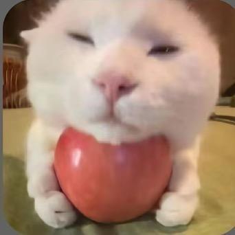 渡劫