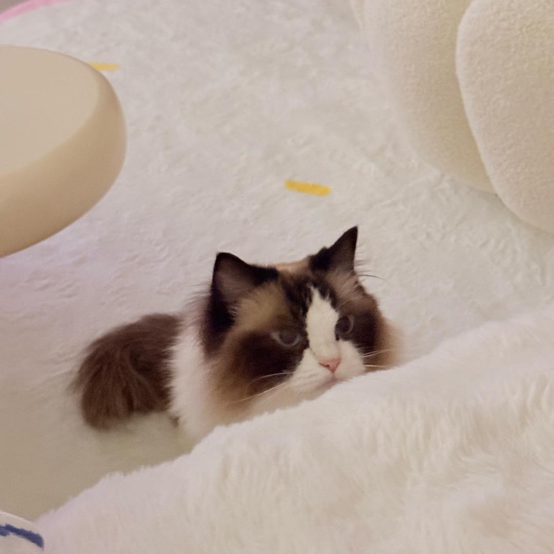 欣妍