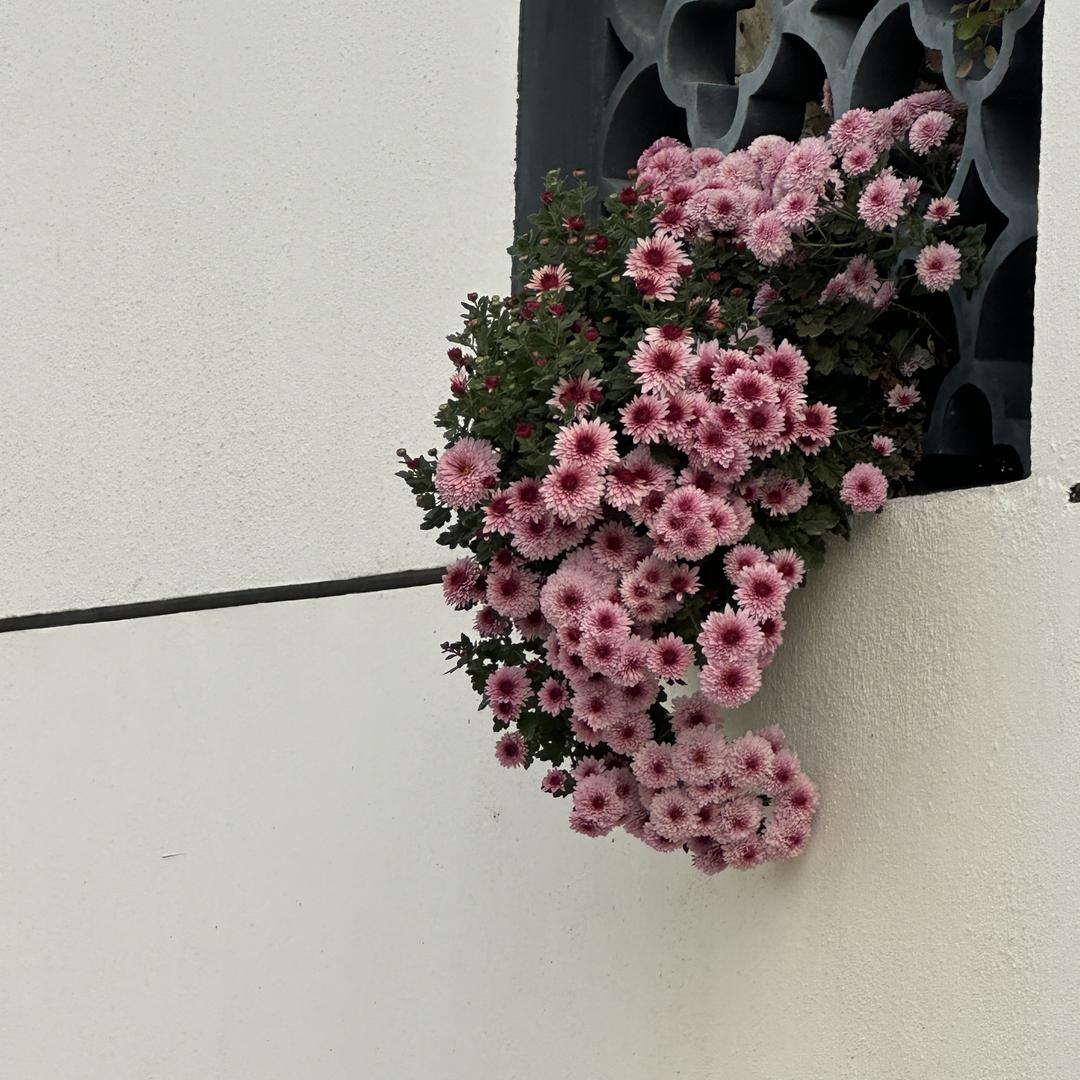 雅悦美容有限公司