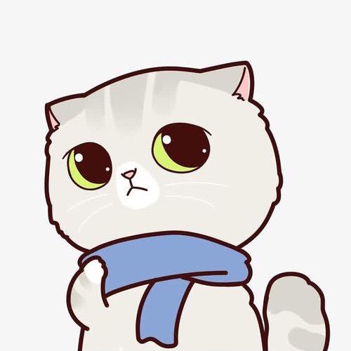 熬夜小猪