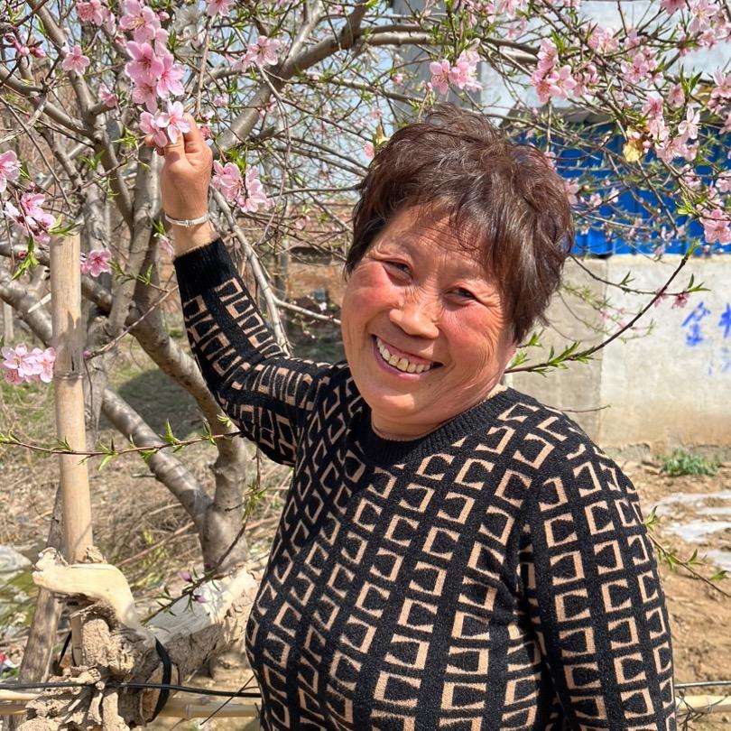 @四婶儿