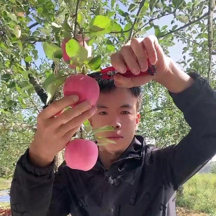 小城农副电子商务中心