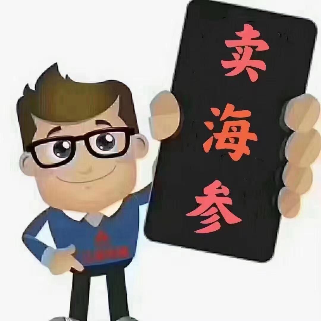 群帆飞扬
