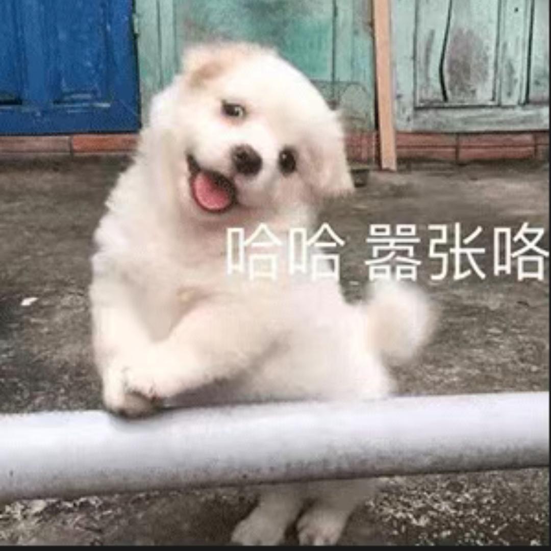 说话注意