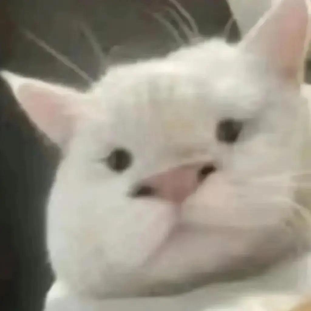 oh no