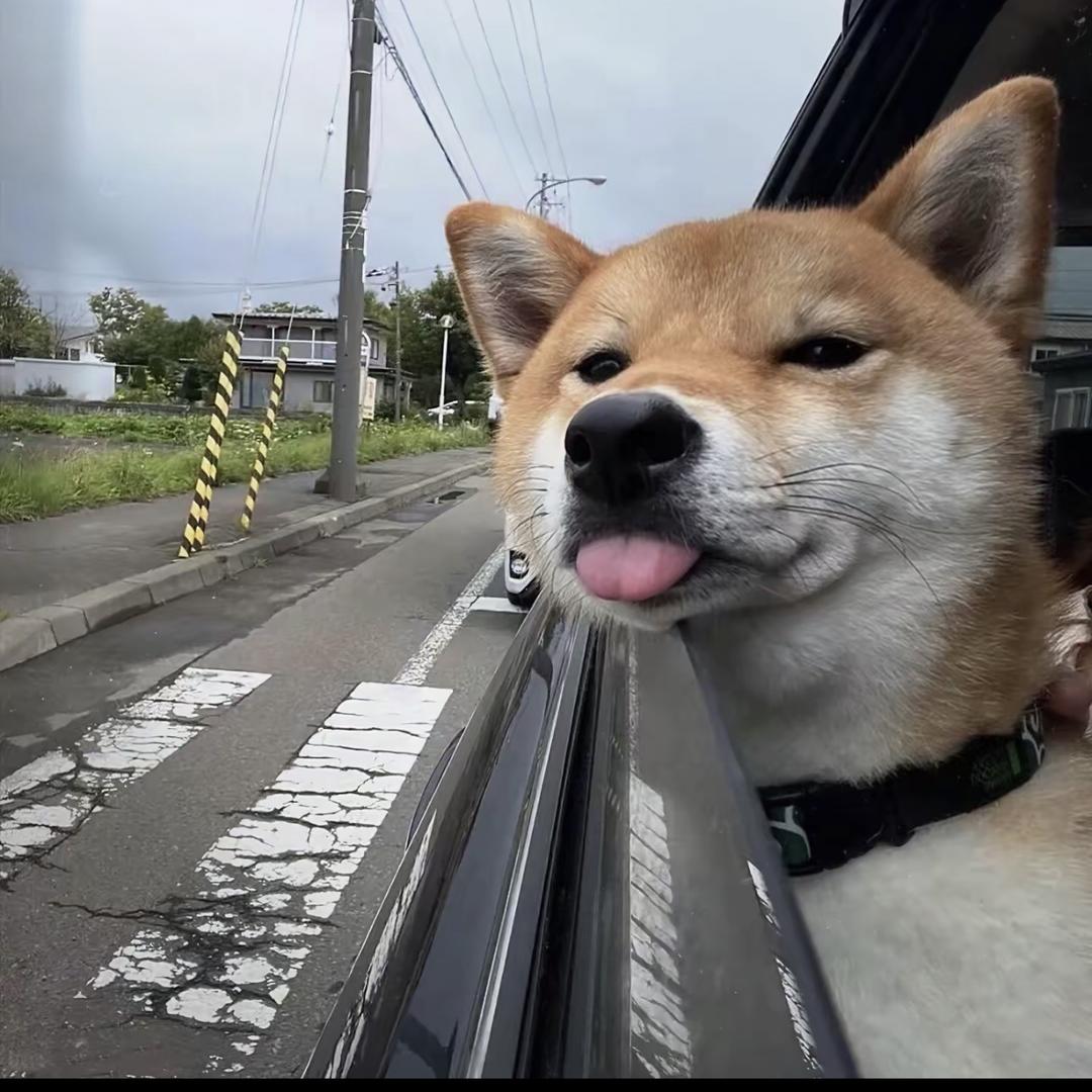 静