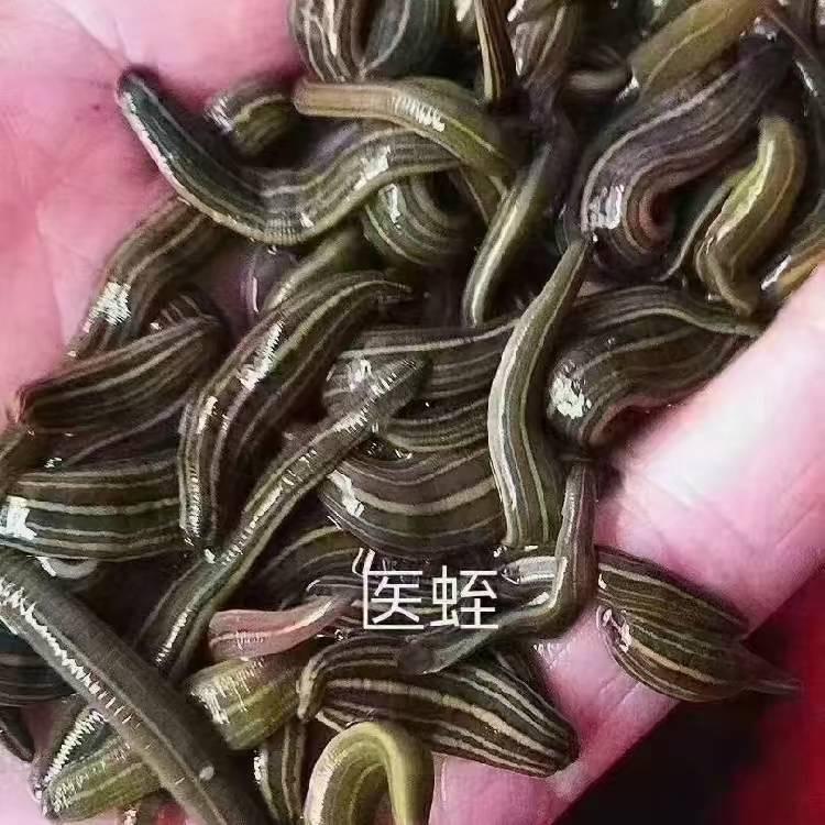 户外好友