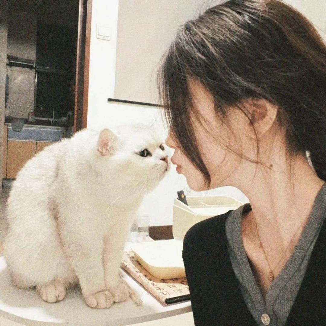 雾..