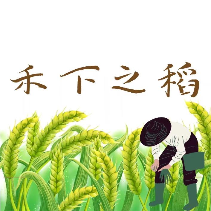 禾下之稻农资