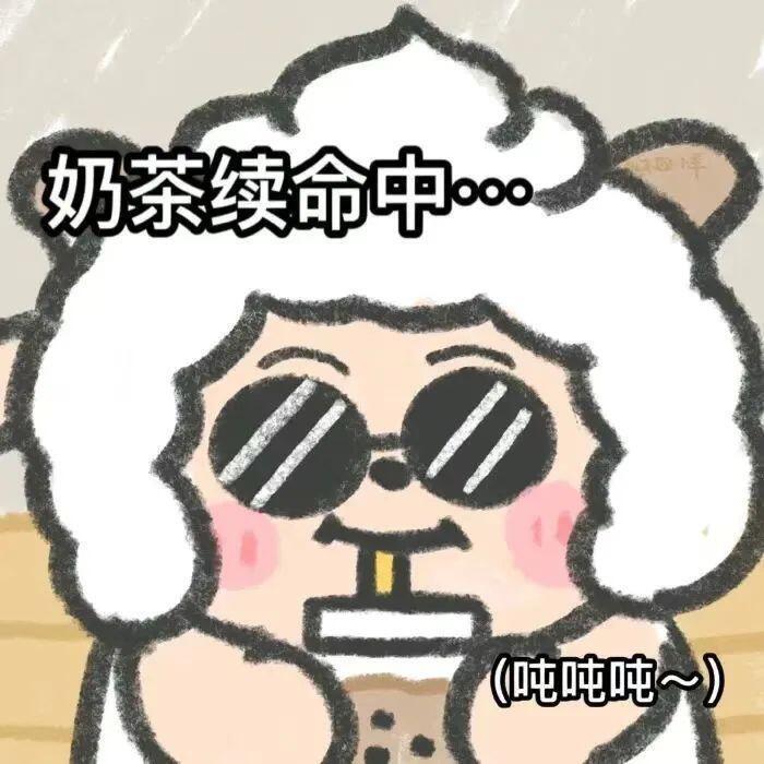 豆包本宝