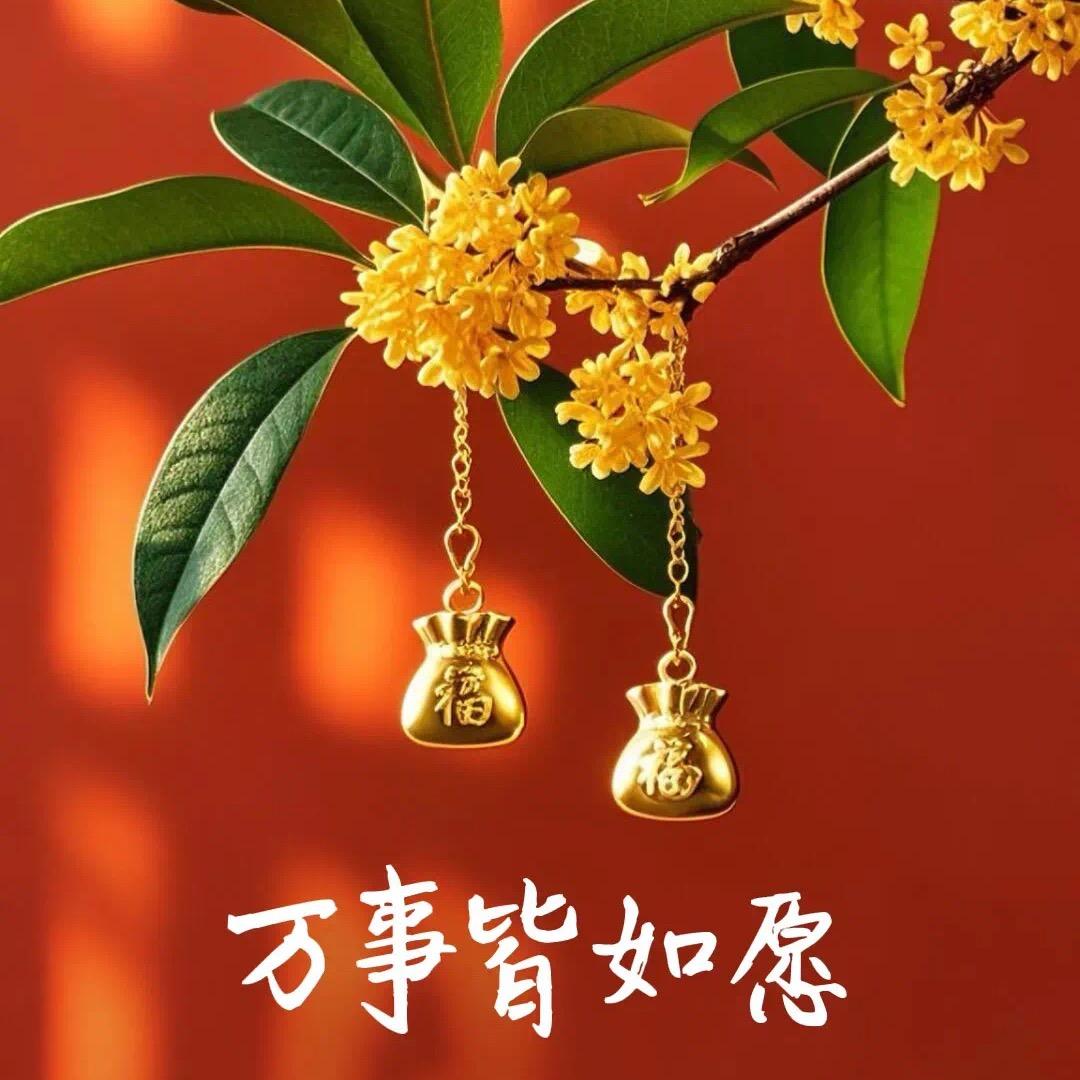 老公来了