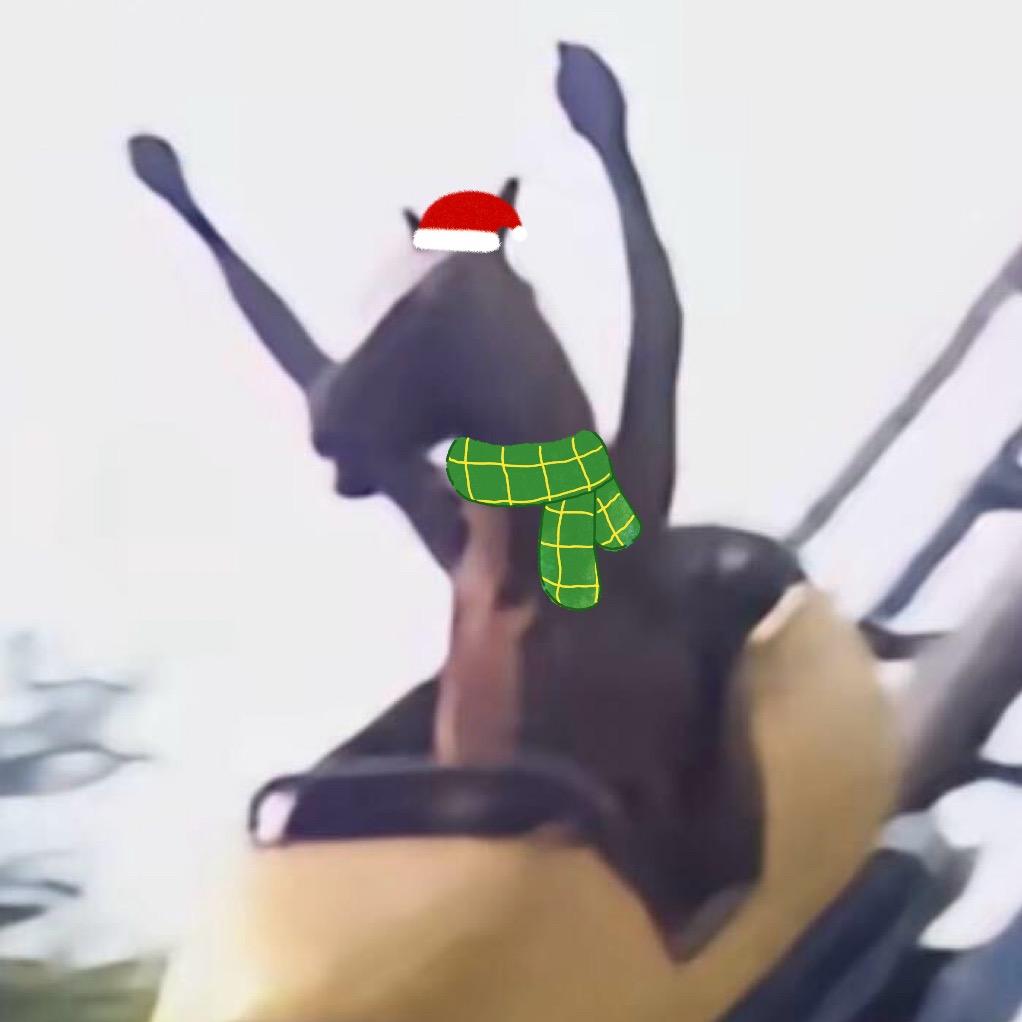 开心的马🐎