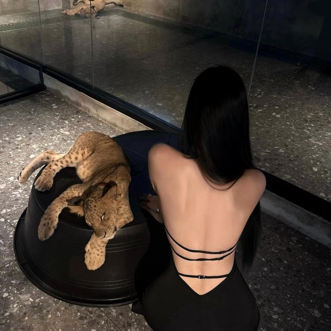 𝓜𝓮𝓲𝓴𝓴