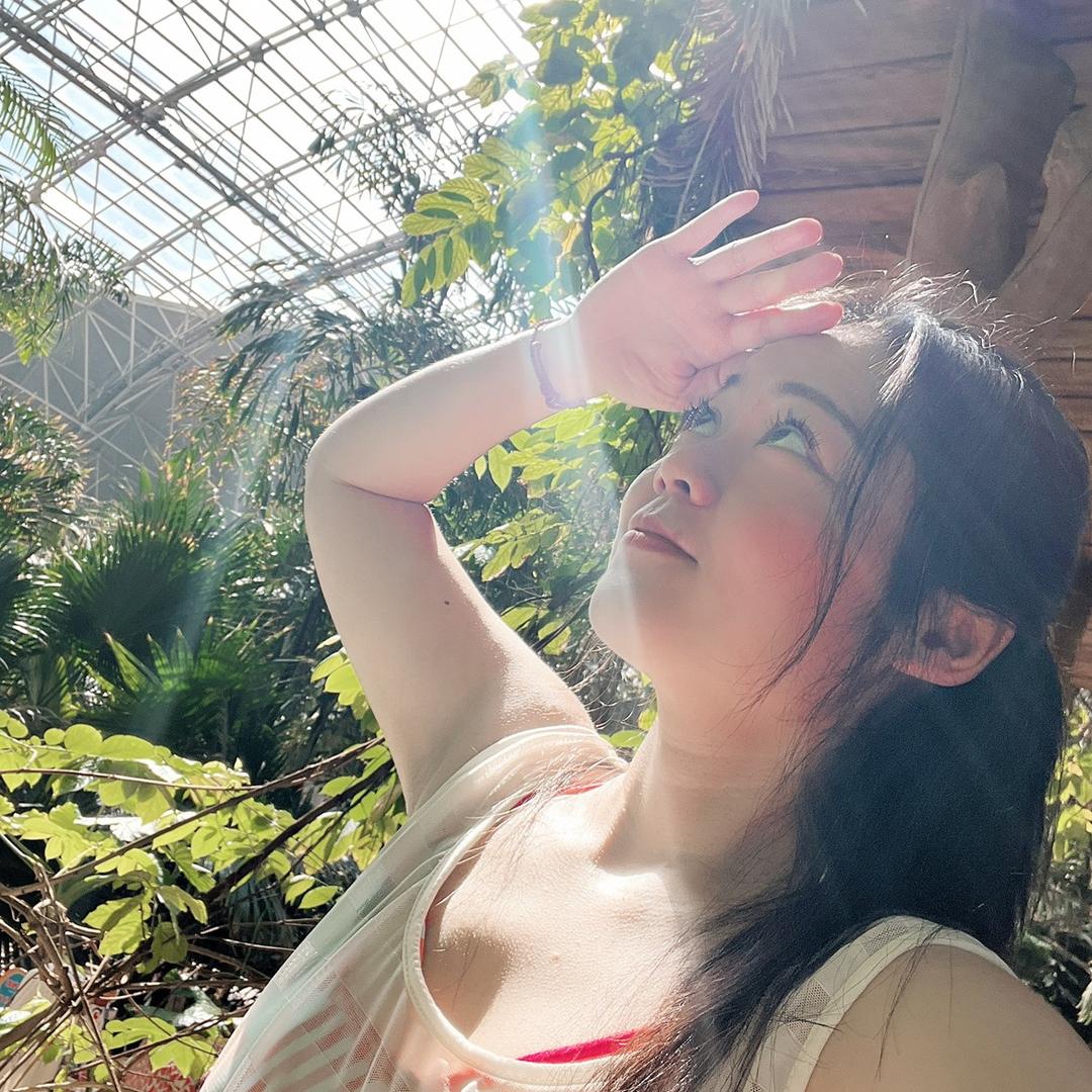 木易日易