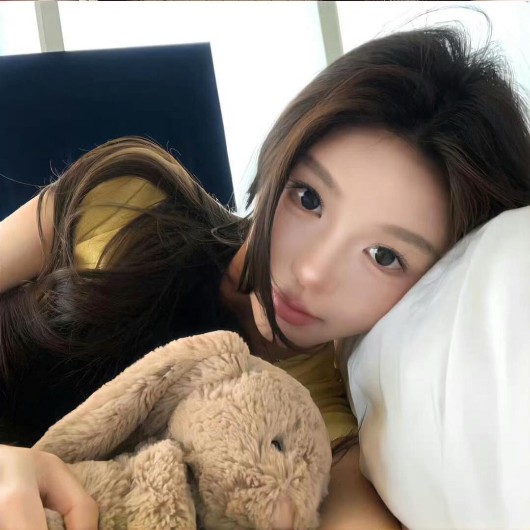 懒貓