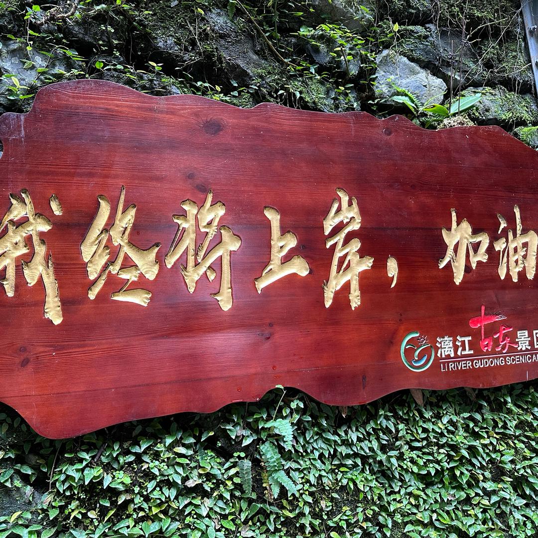 炮天雄@美洲大蠊