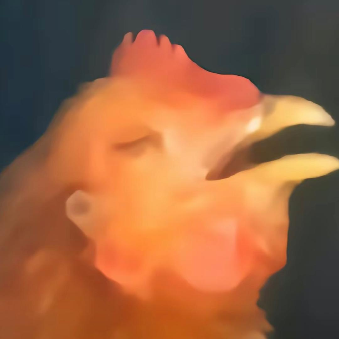 我想飞（逢考必过版）