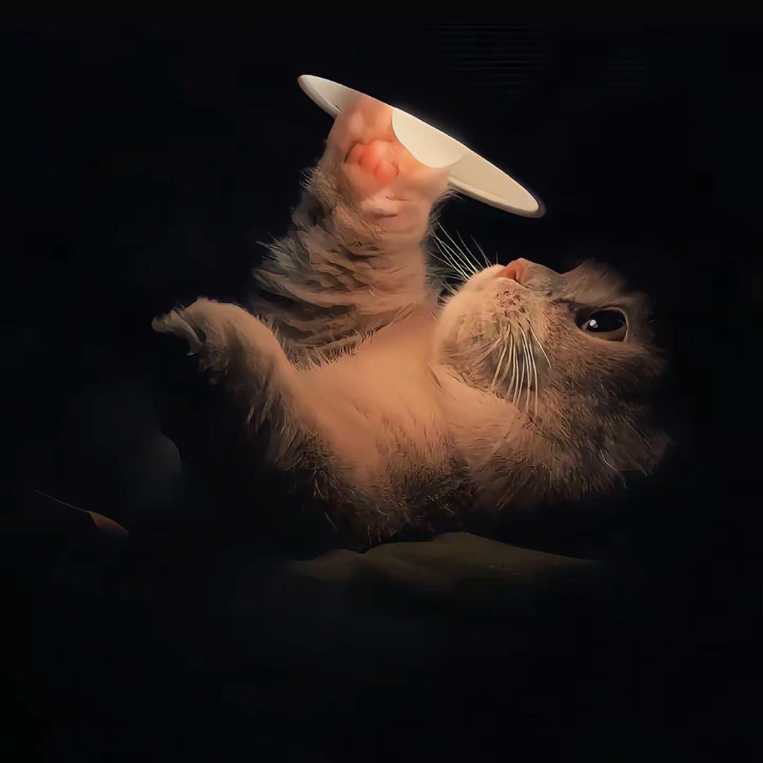 救赎