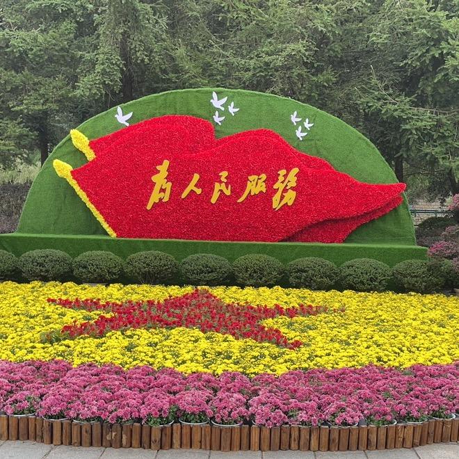 🎊清风徐来🎉🌲