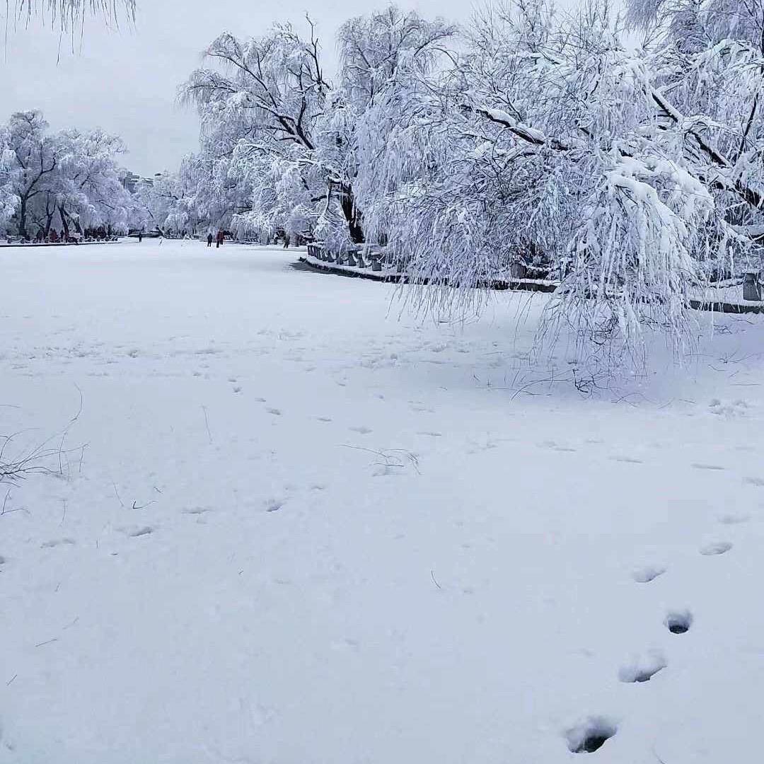 十一月