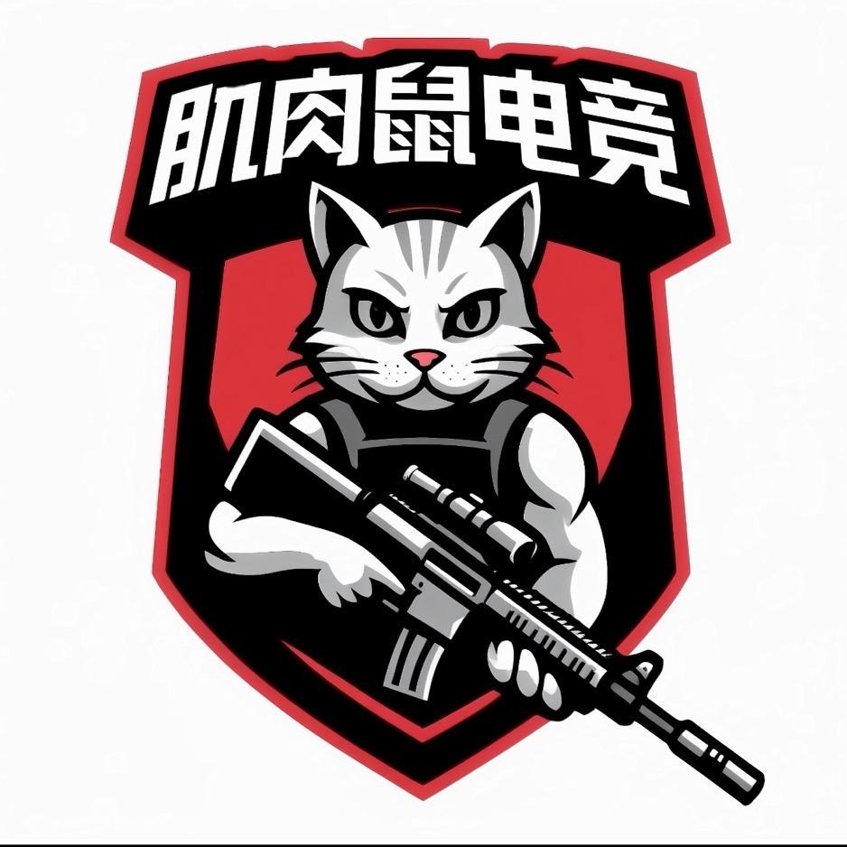 肌肉鼠电竞（招pc护航）