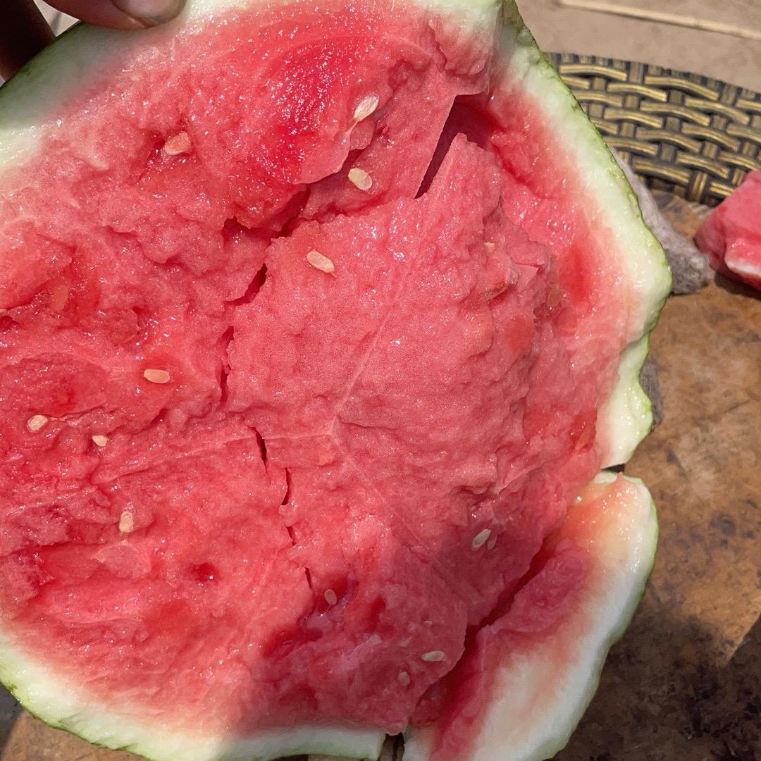 田奎西瓜辣椒产地直发