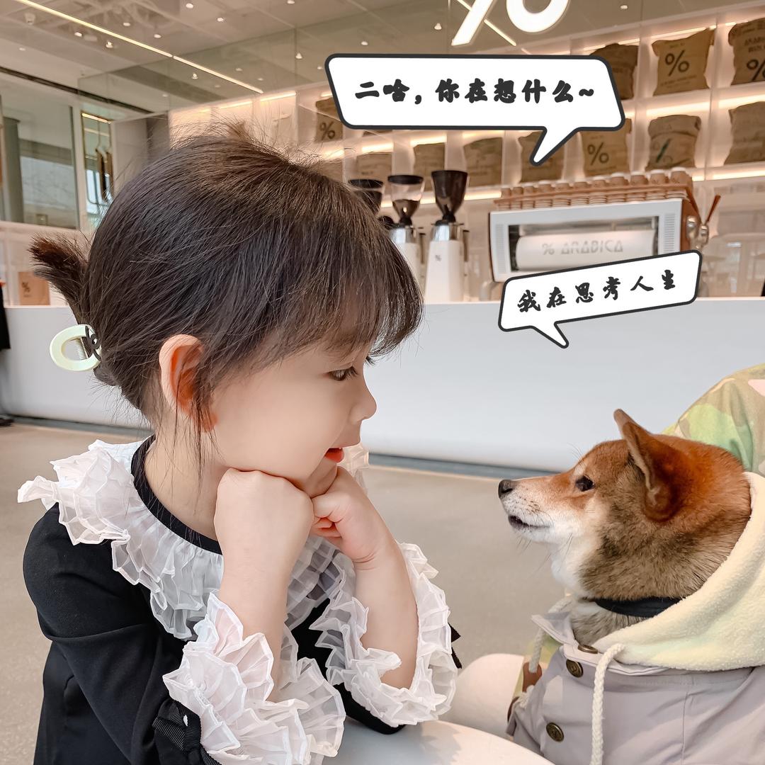 澄宝