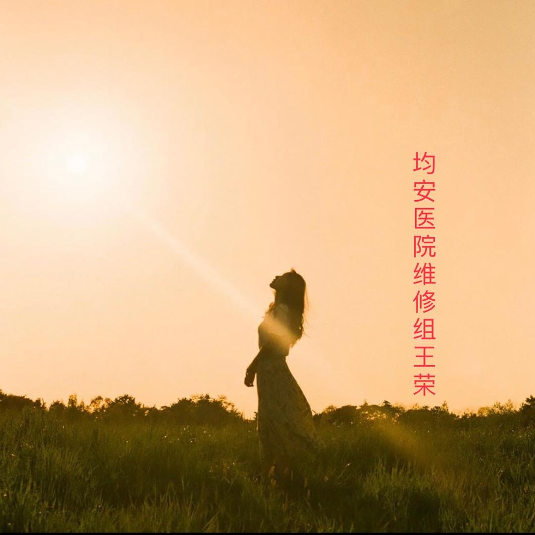 凤舞飞扬
