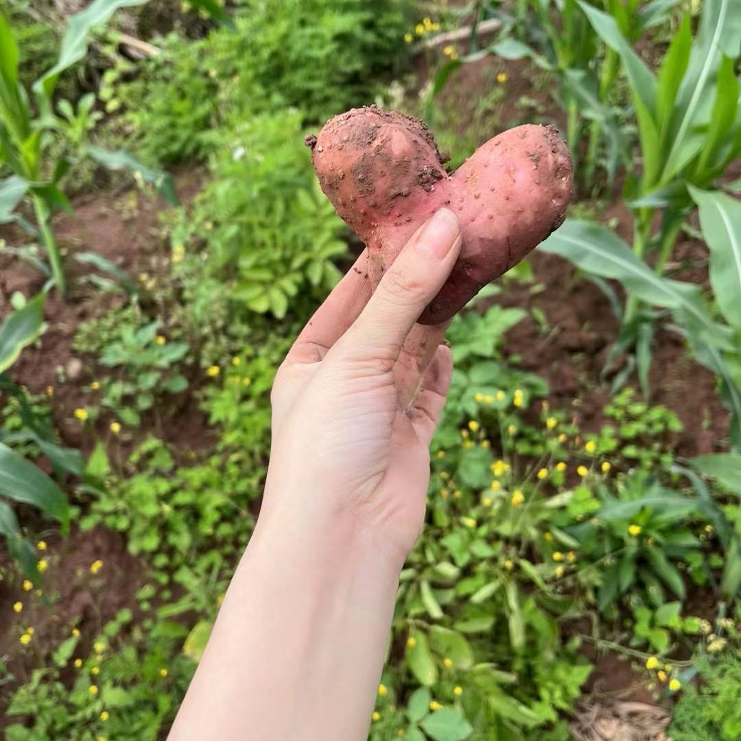 还是那个人