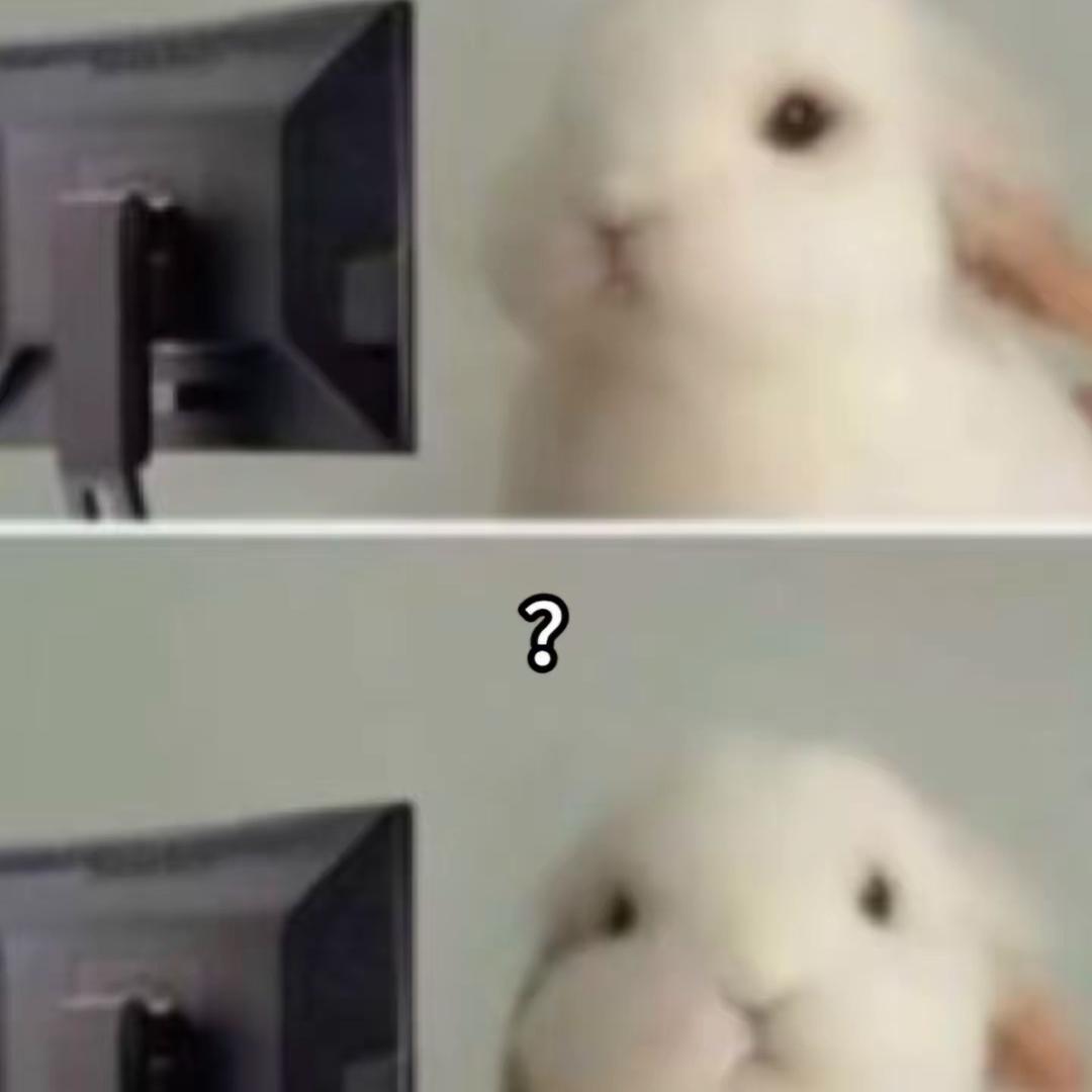 总是美萌萌
