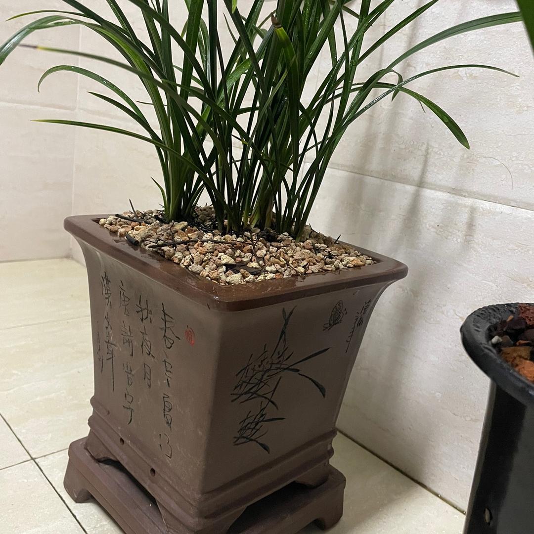 长吉