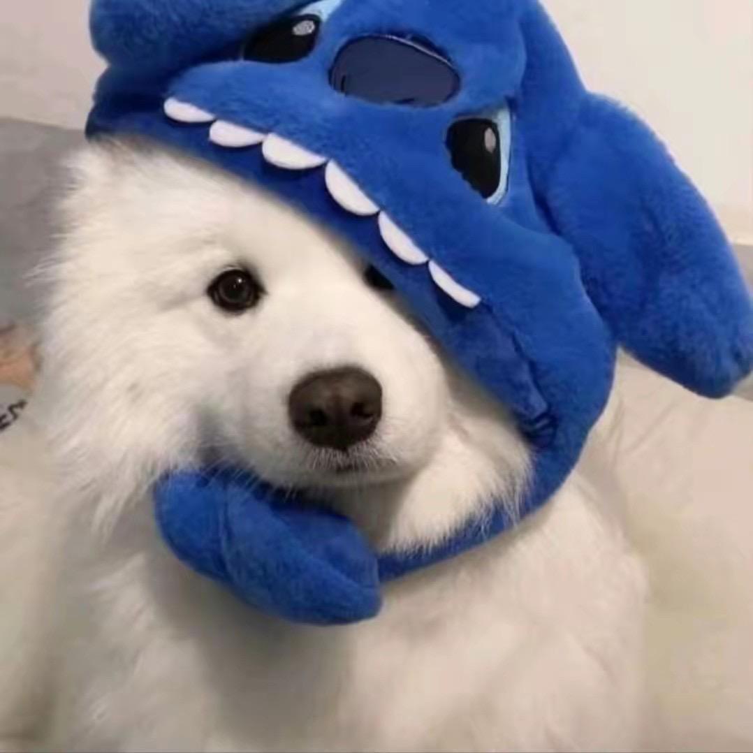 阿翔翔