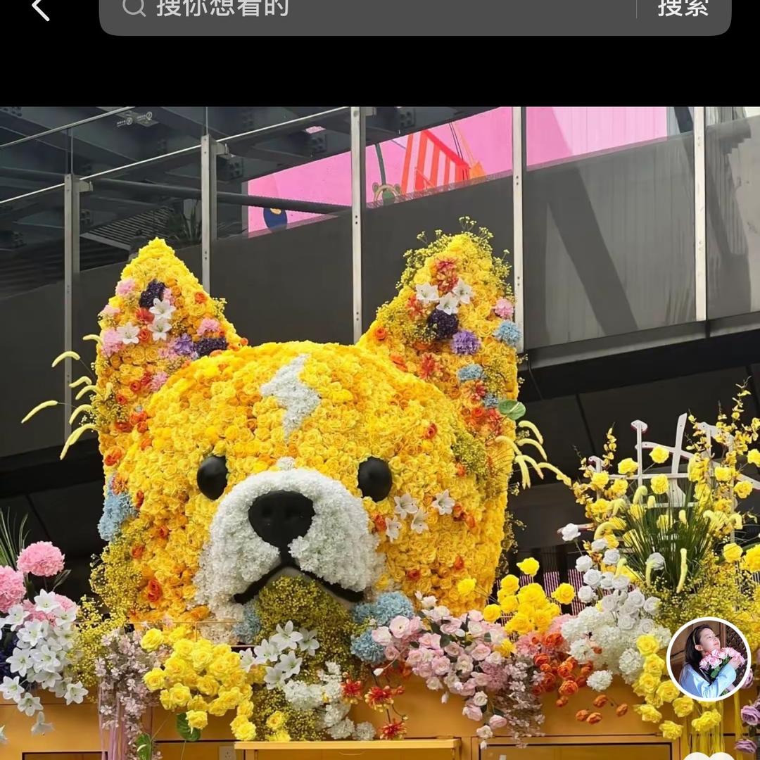 我不是“吴京”🏂