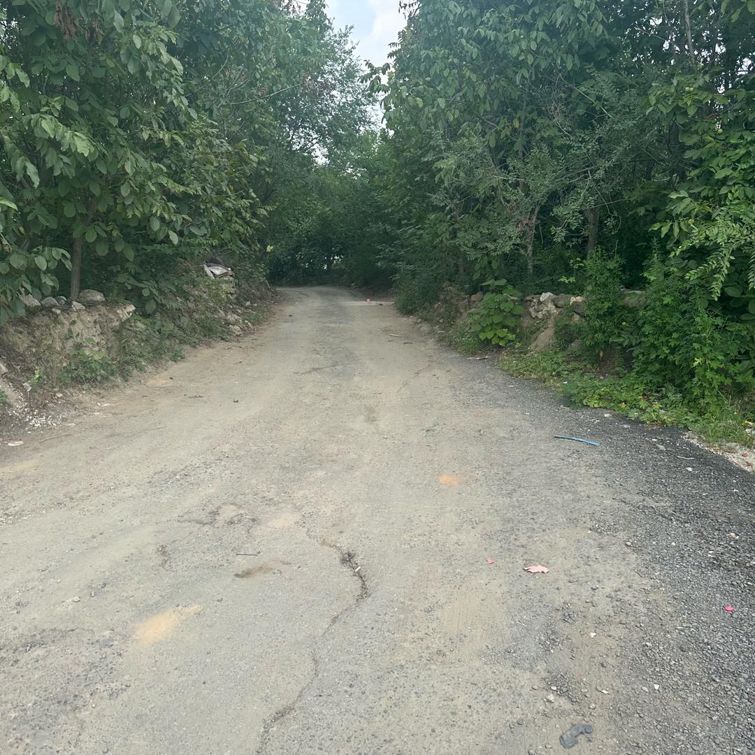 钨钼镍钛（高速钢）姚